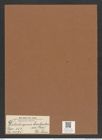 Dicladiopsis barbadensis (Grev.) De-Toni (de-Toni-Nr.: Genus 151, Species 4195) Zeichnungen Sammlung Grunow Mappe 04197 (Herbarium_W_Grunow_drawings_Folder_04197)